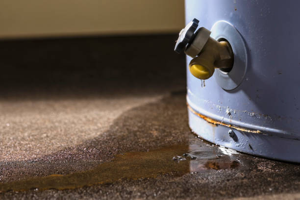 Best Water damage cleanup near me  in Bellerose Terrace, NY