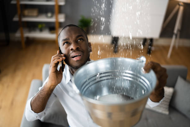 Best Mold removal after water damage  in Bellerose Terrace, NY