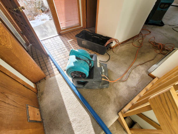 Best Flooded house restoration  in Bellerose Terrace, NY
