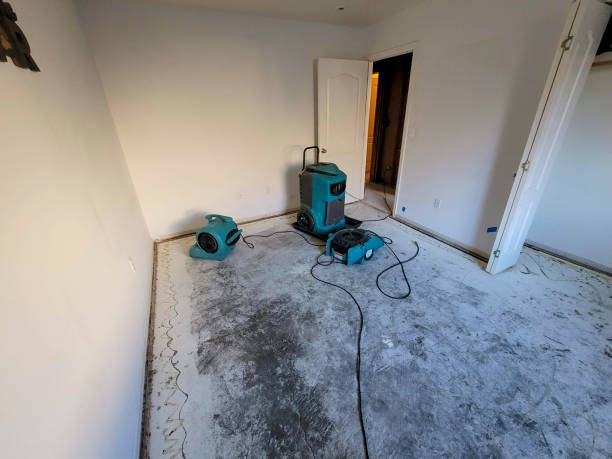 Bellerose Terrace, NY Water damage restoration Company