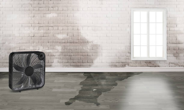 Best Commercial water damage restoration  in Bellerose Terrace, NY