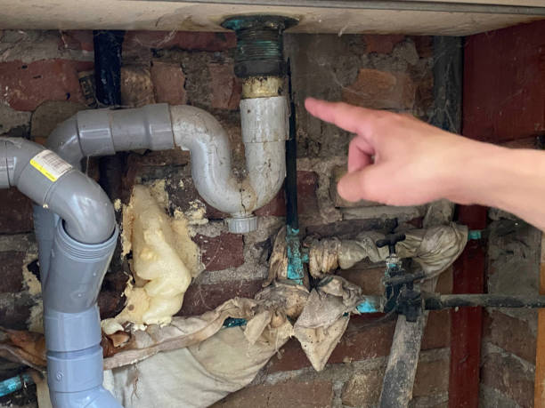 Professional Water damage restoration in Bellerose Terrace, NY