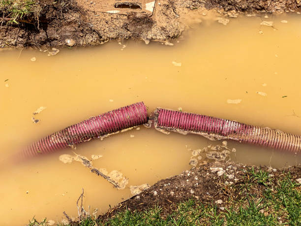 Best Water damage restoration process  in Bellerose Terrace, NY